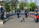 շţι˾